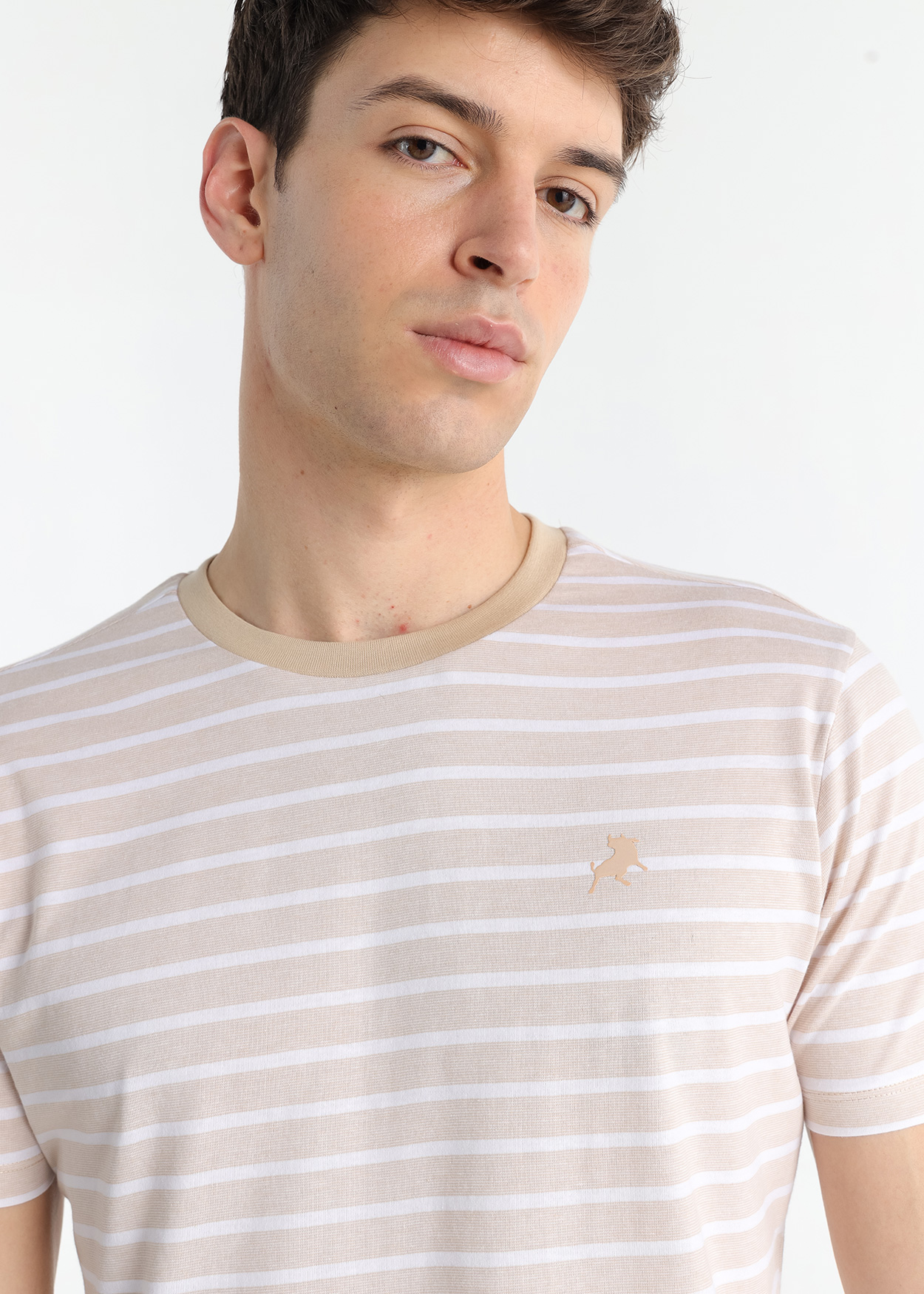 T-Shirt Riscas Homem Castanho