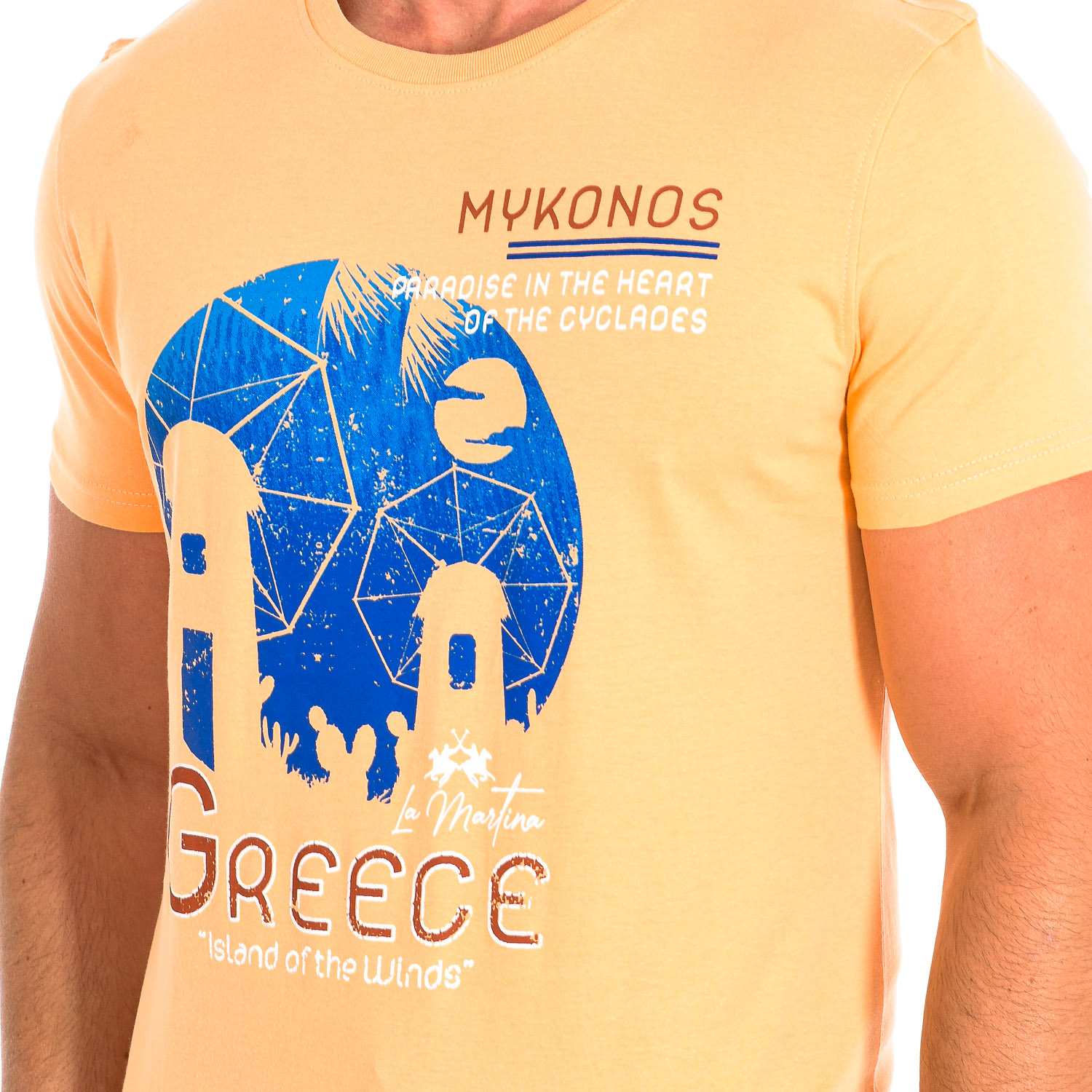 T-Shirt Homem Laranja