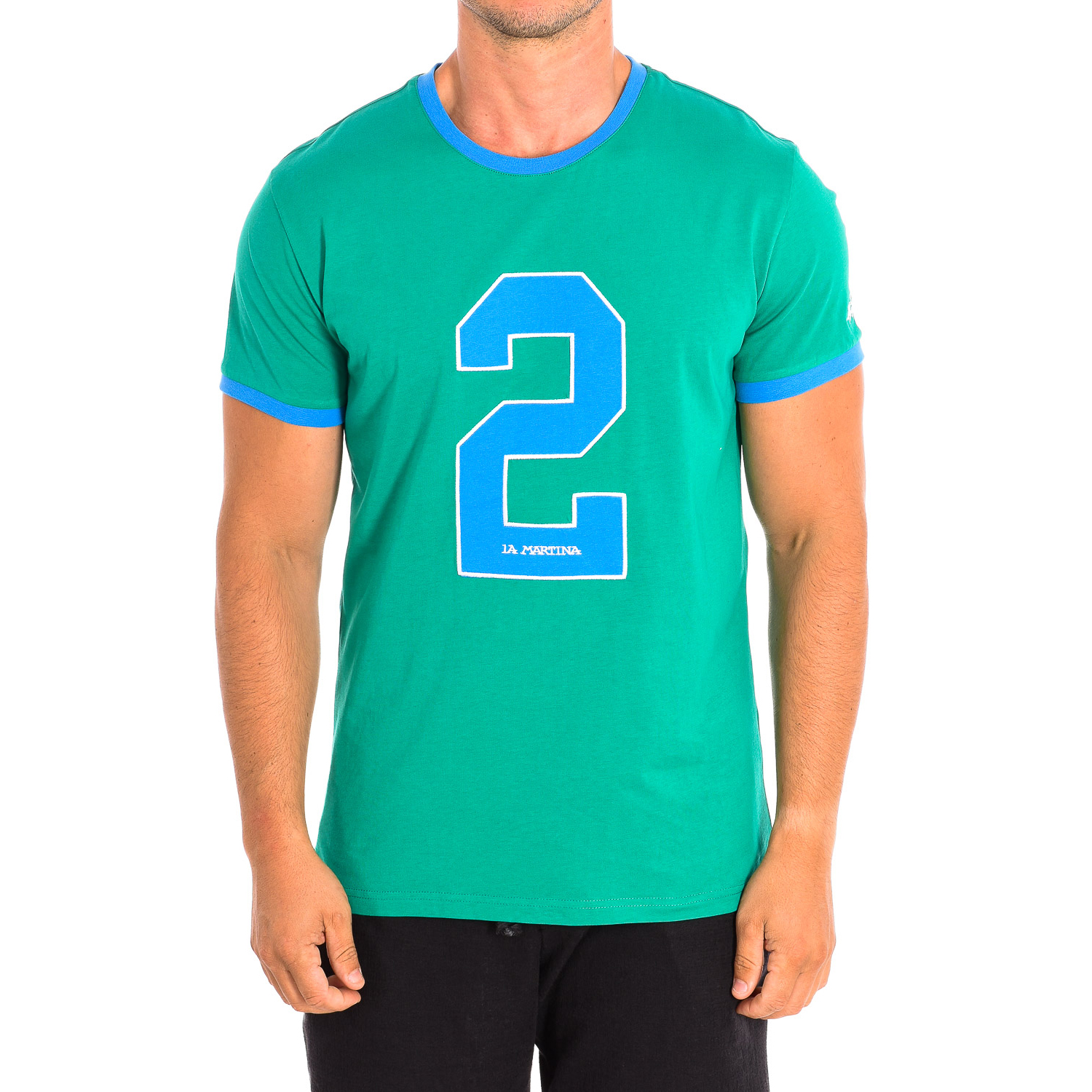 T-Shirt Homem Verde e Azul