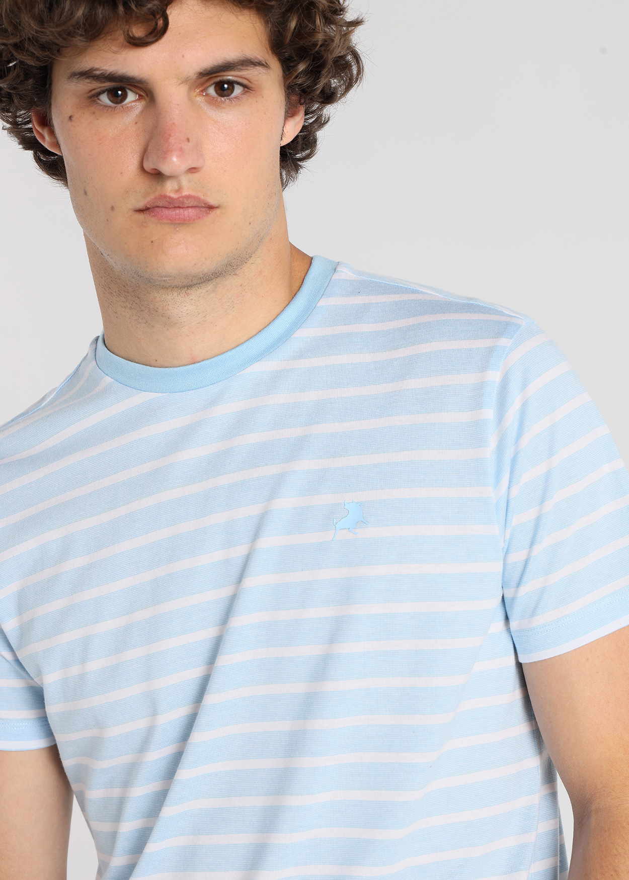 T-Shirt Riscas Homem Azul