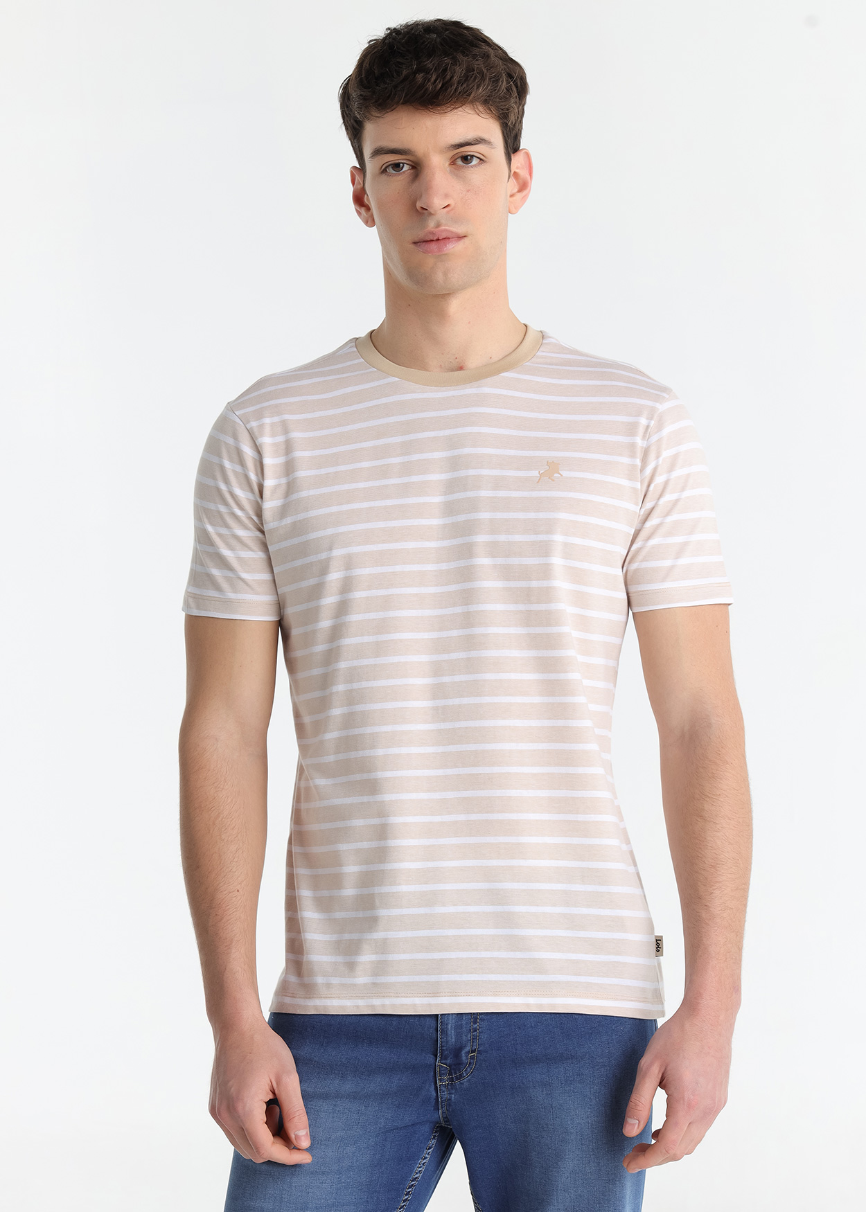 T-Shirt Riscas Homem Castanho