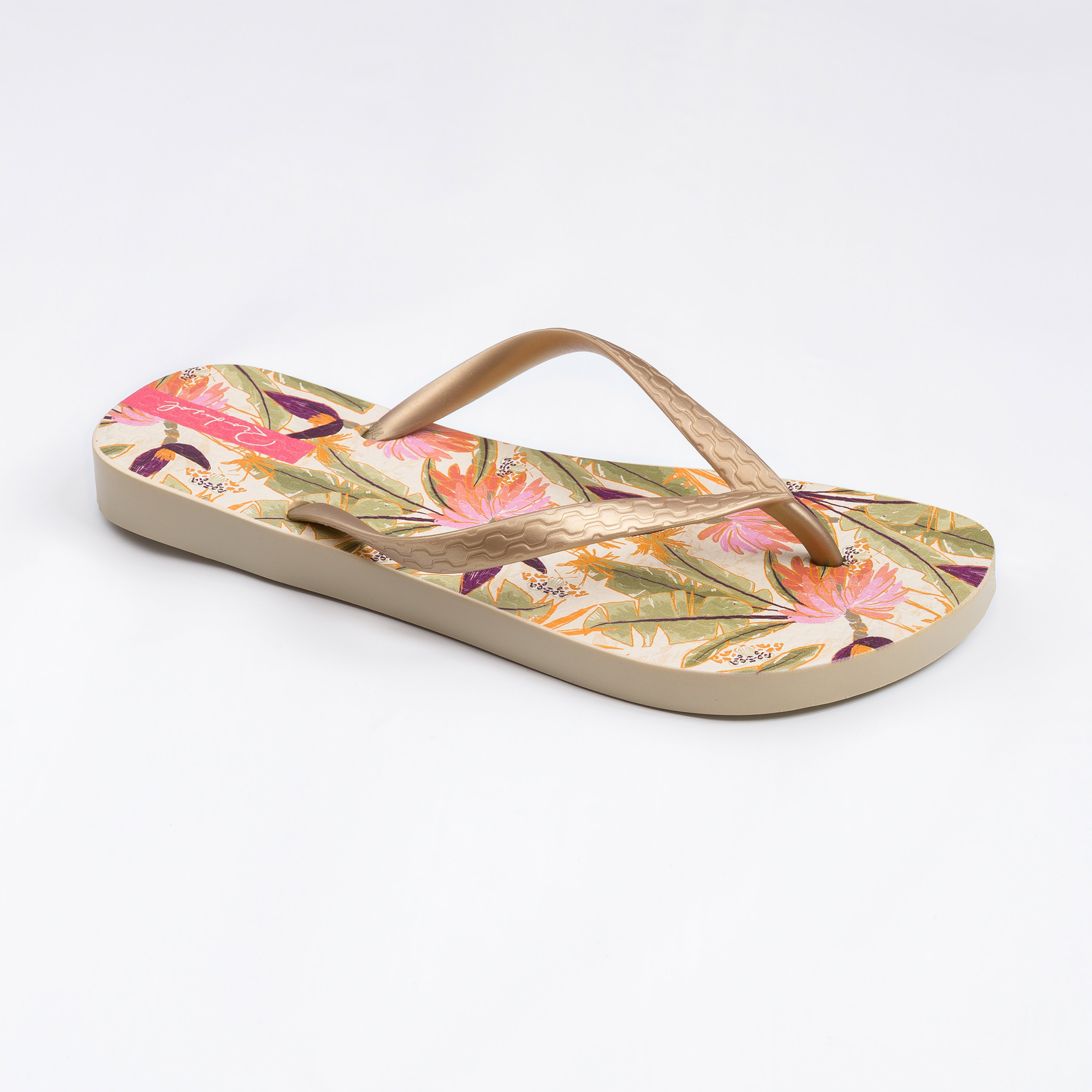 Chinelos Oasis Slim Multicor