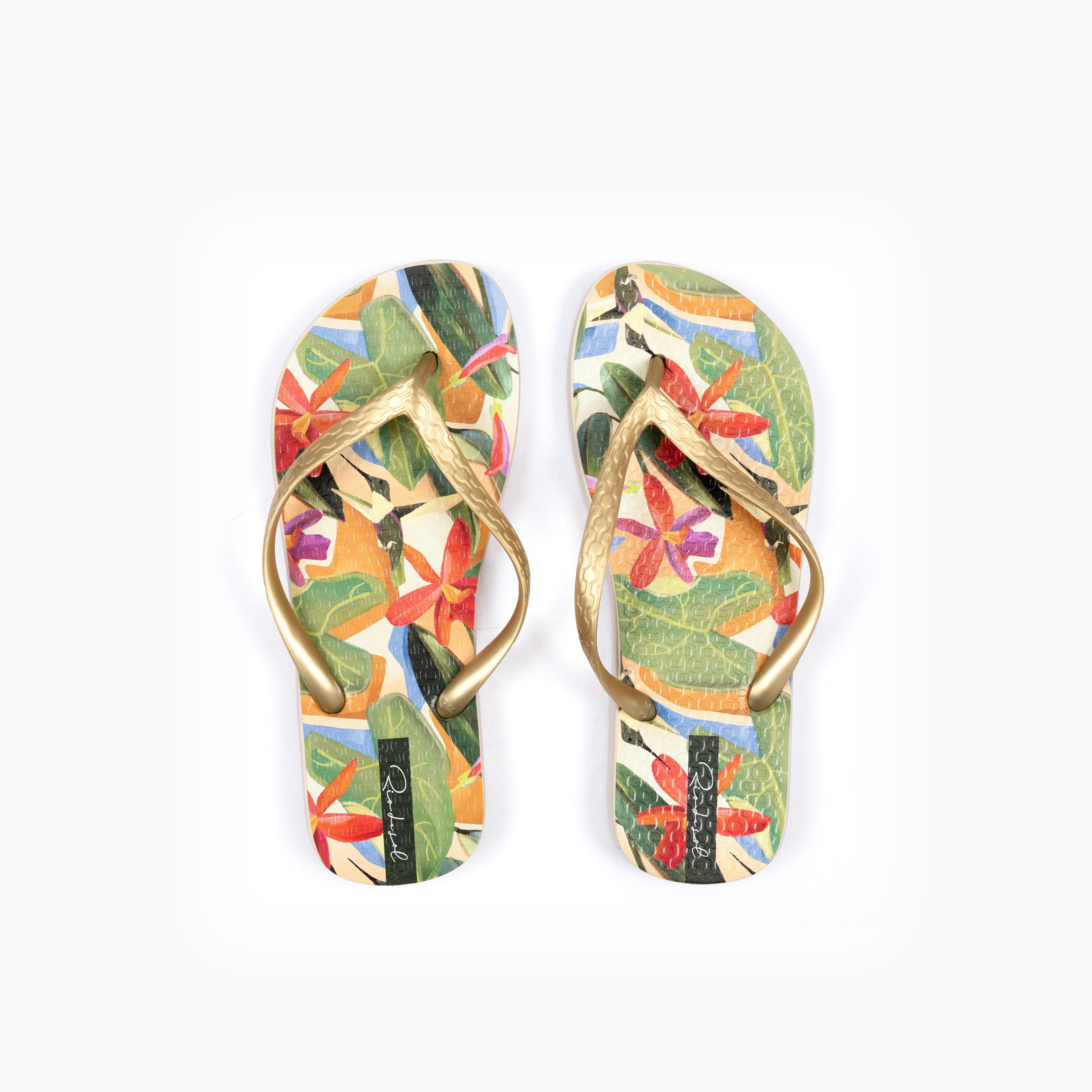 Chinelos Tropical Slim Castanho