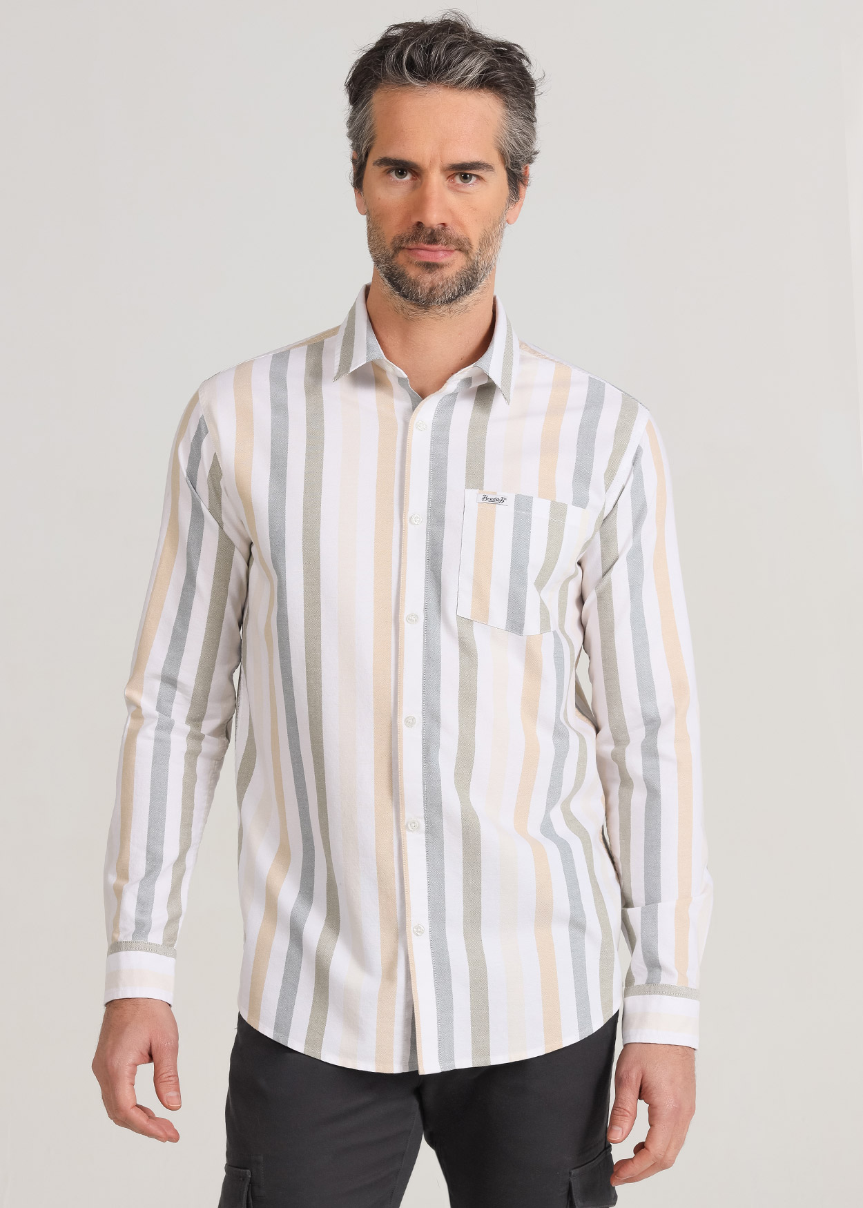 Camisa Oxford Manga Comprida Multicor