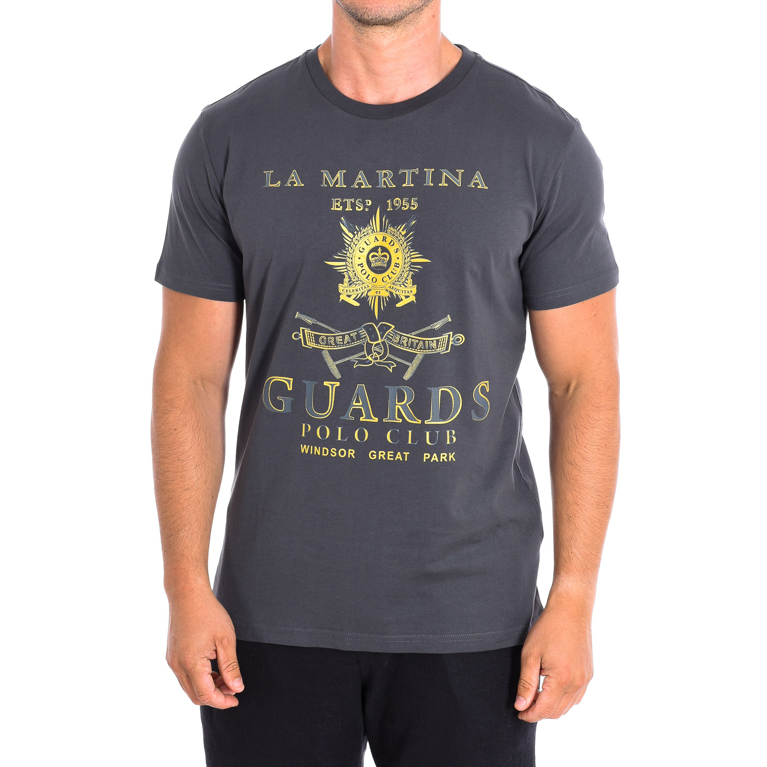 T-Shirt Homem Cinzento