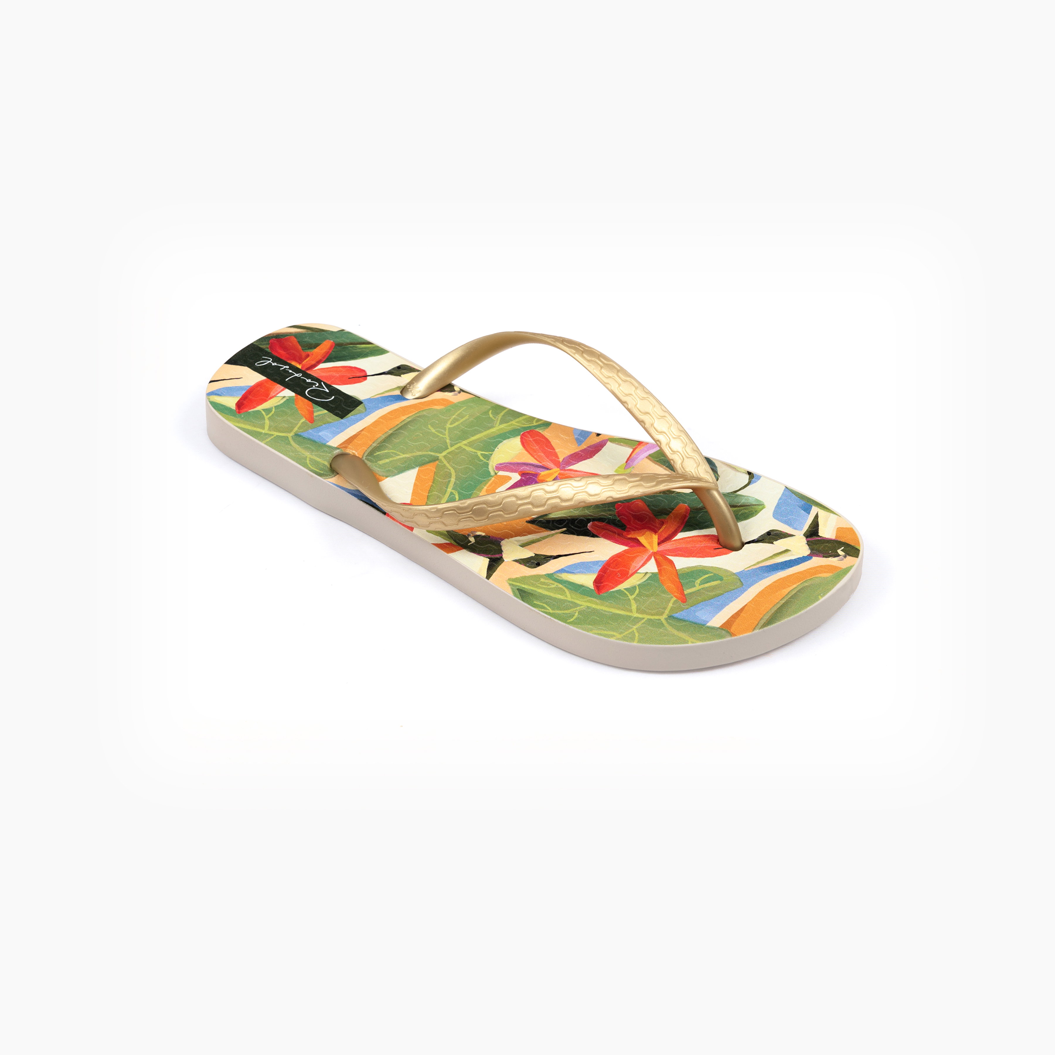 Chinelos Tropical Slim Castanho