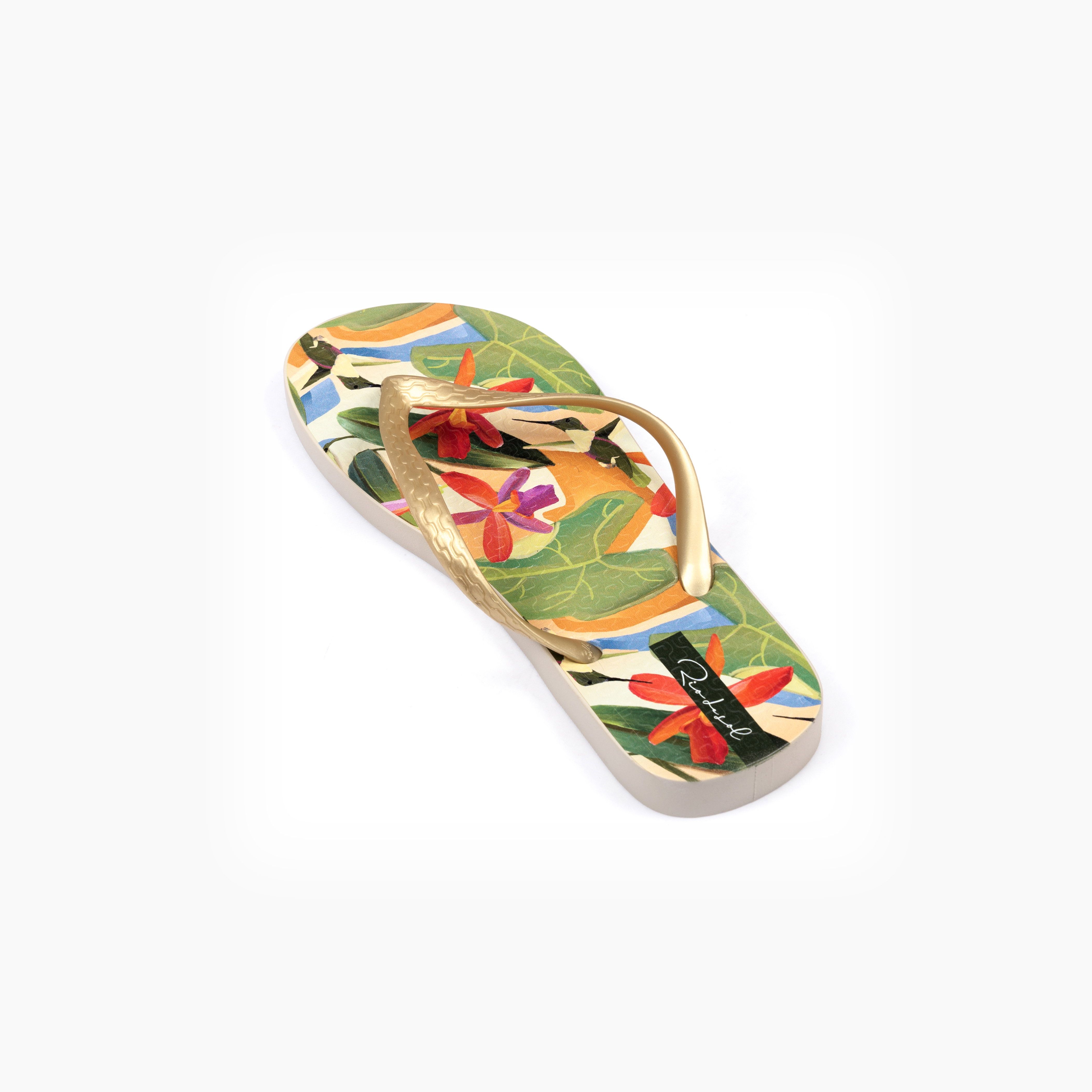 Chinelos Tropical Slim Castanho