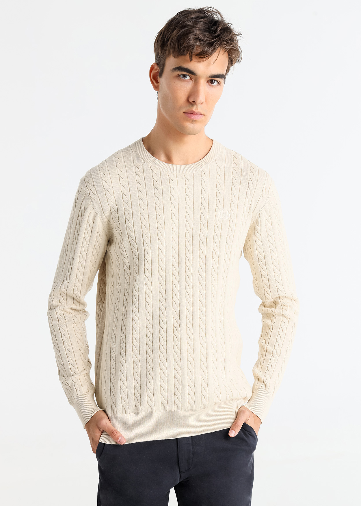 Camisola de gola redonda em tricô trançado Bege