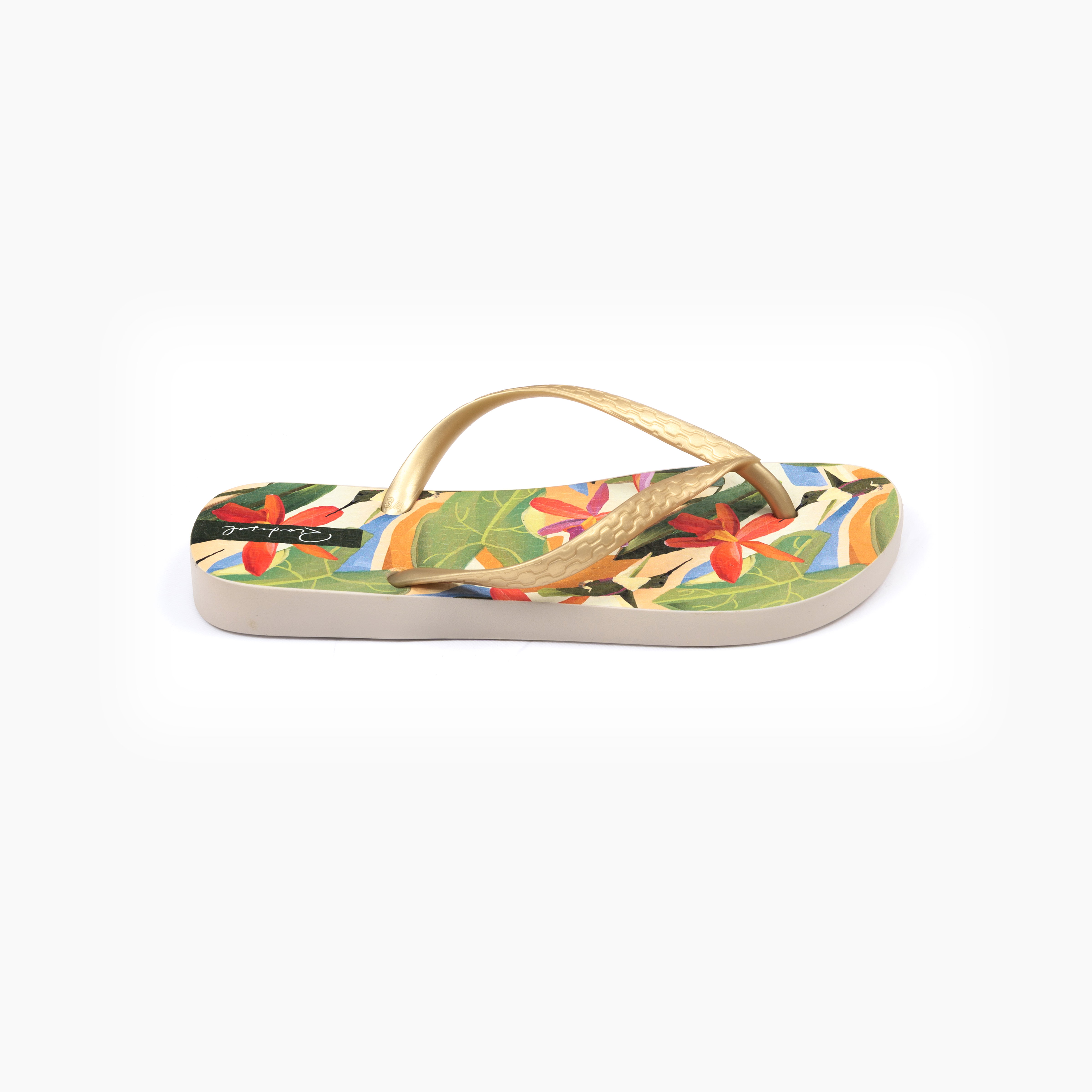 Chinelos Tropical Slim Castanho