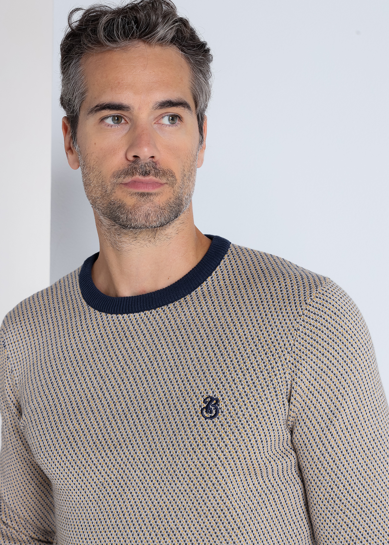 Camisola de gola redonda em jacquard Azul