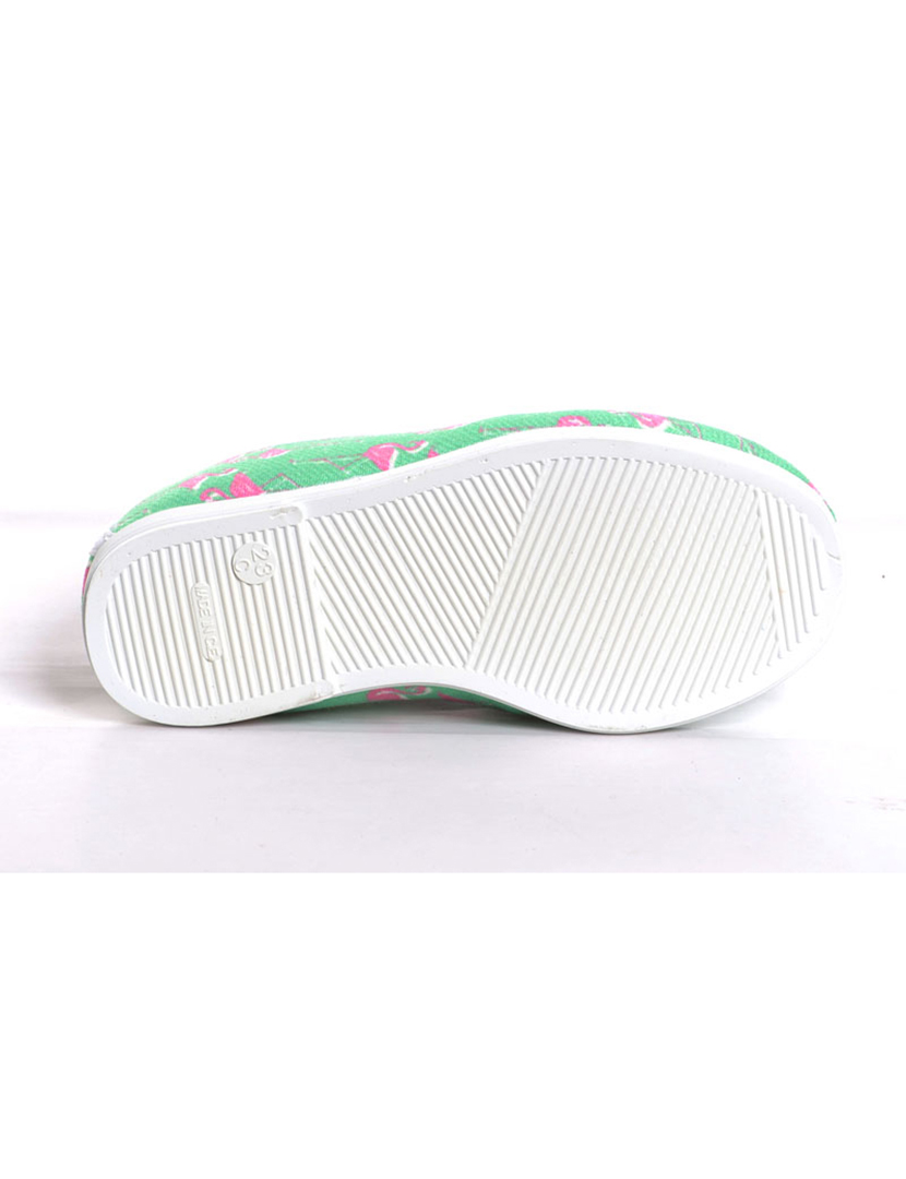 Alpercatas Print Flamingos Verde