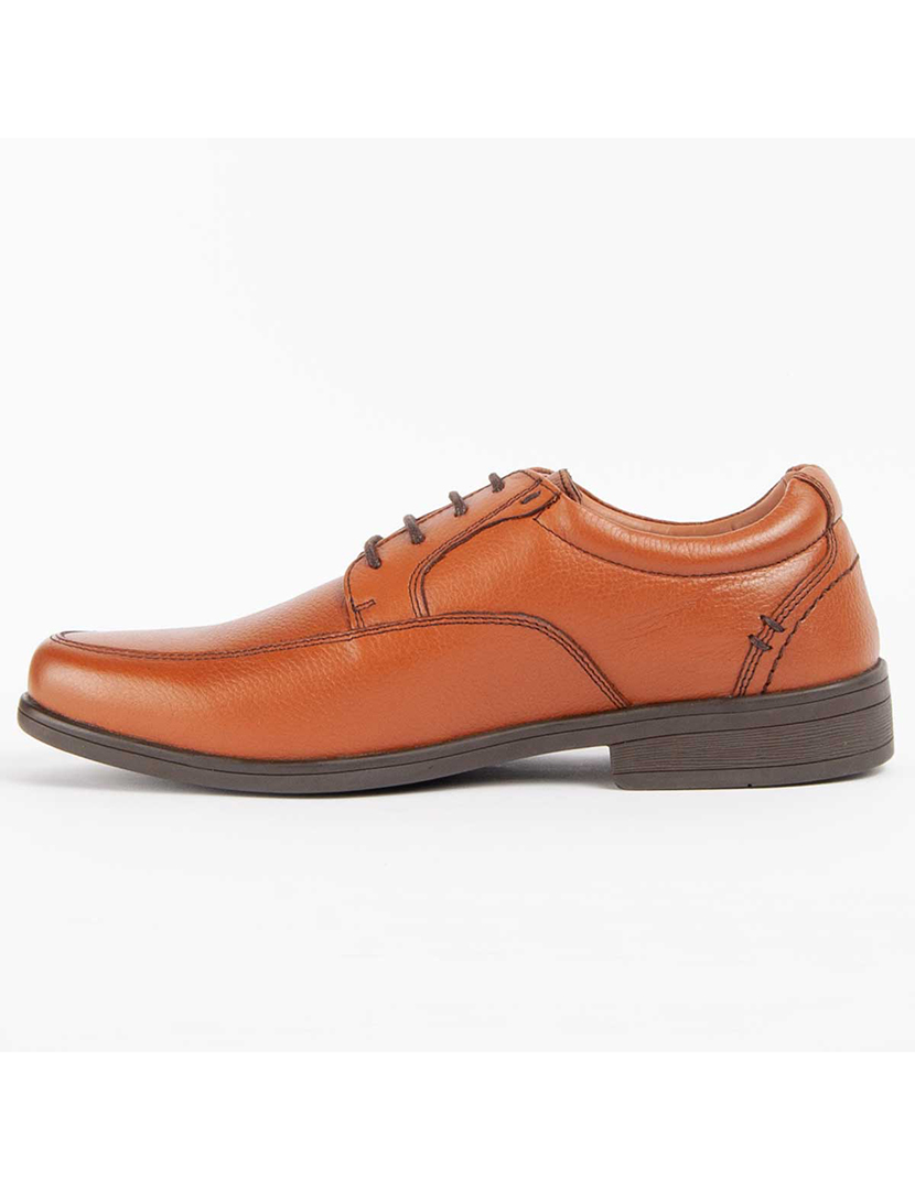 Sapatos Oxford Homem Castanho