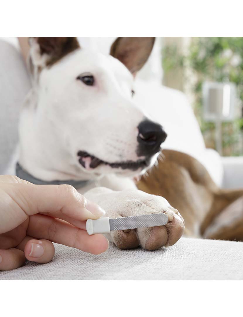 Corta-unhas LED Clipet 