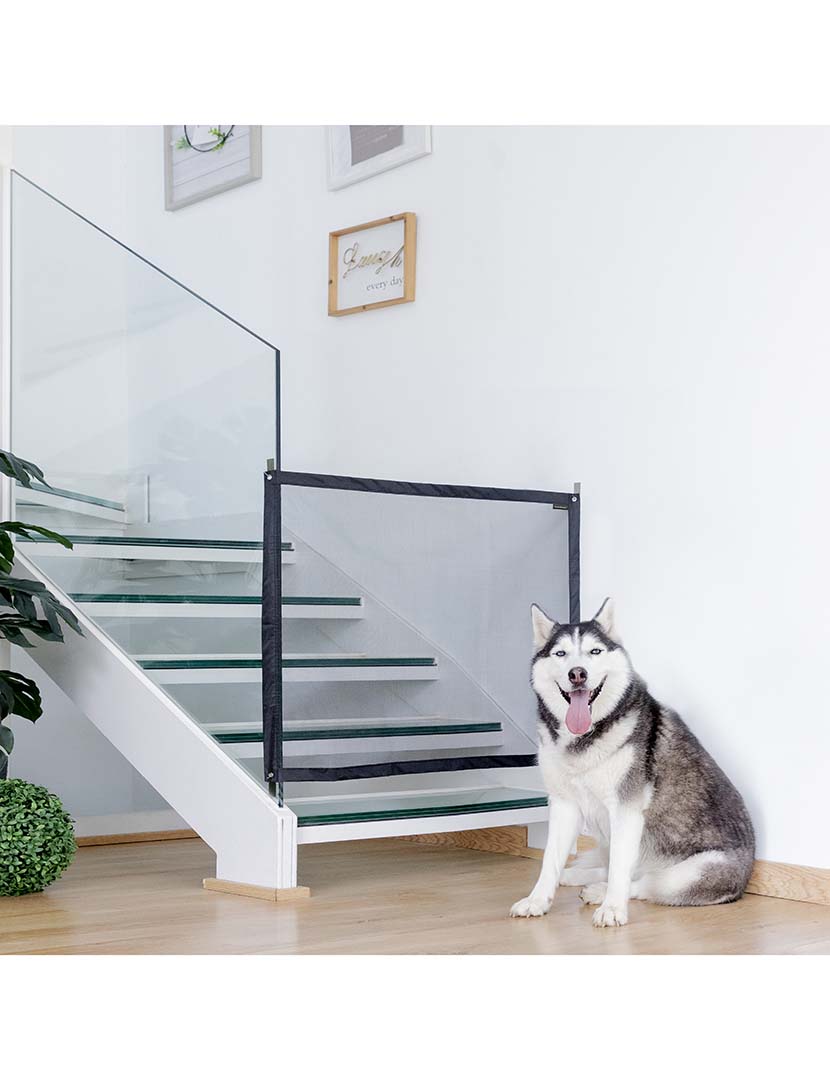 Rede Segurança Petinu 