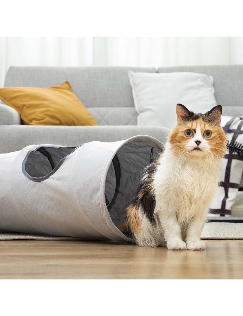 Túnel Dobrável Funnyl 