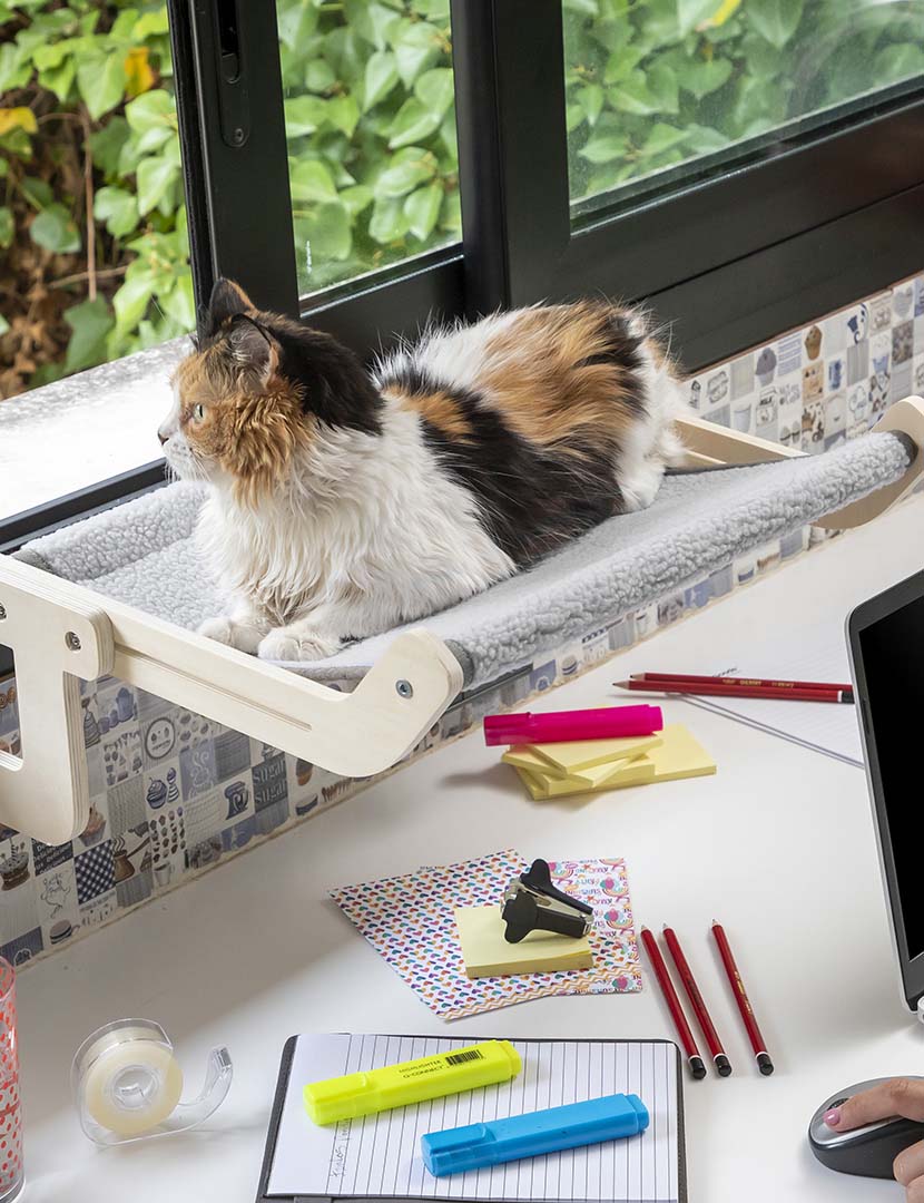 Rede Suspensa Gatos Hamacat 