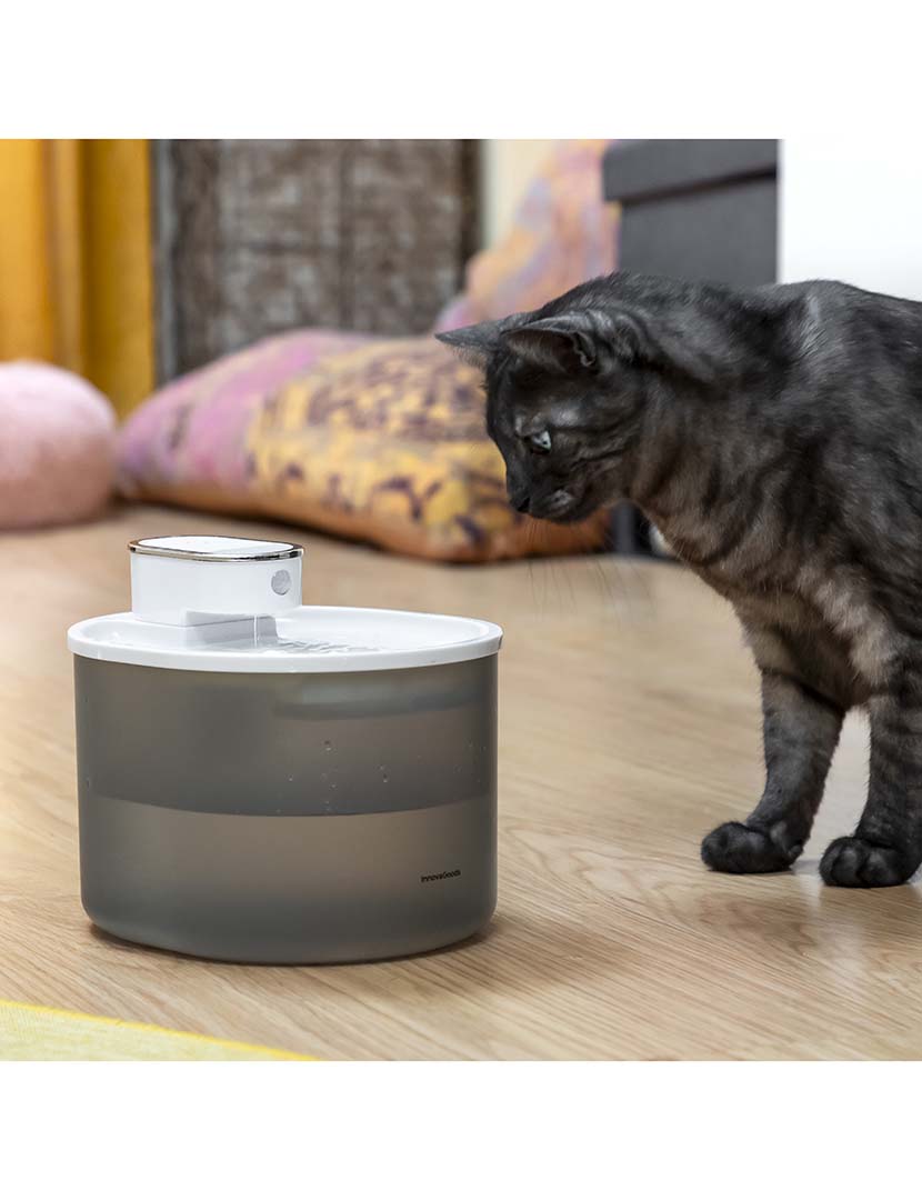 Fonte Gatos Sensor Refopet 