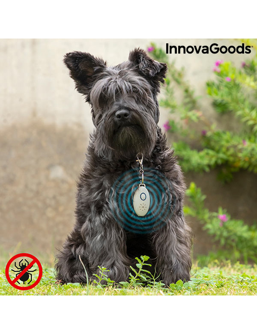 Repelente Parasitas PetRep