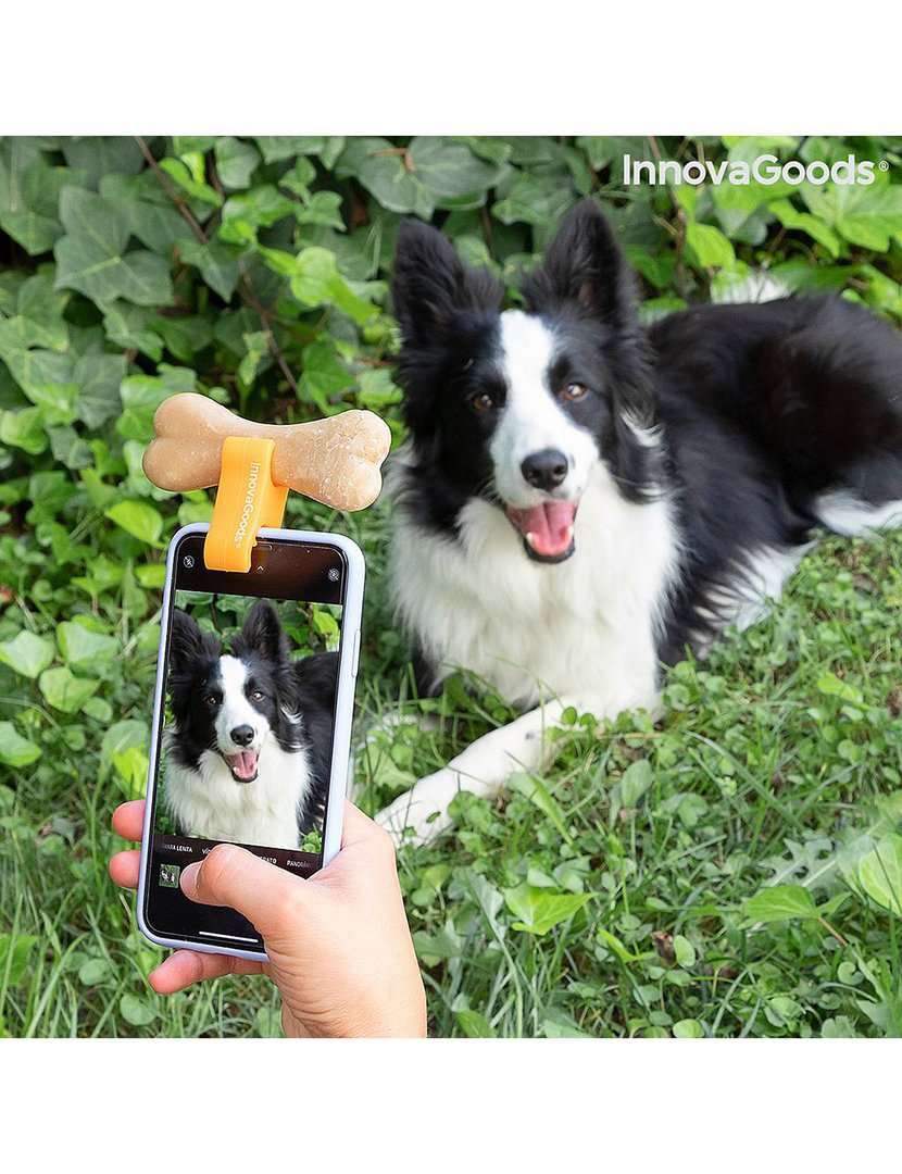 Clipe de Selfies Pefie