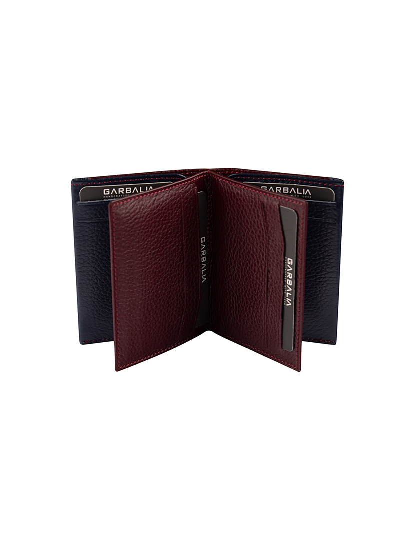 Carteira Homem Paola Castanho e Azul