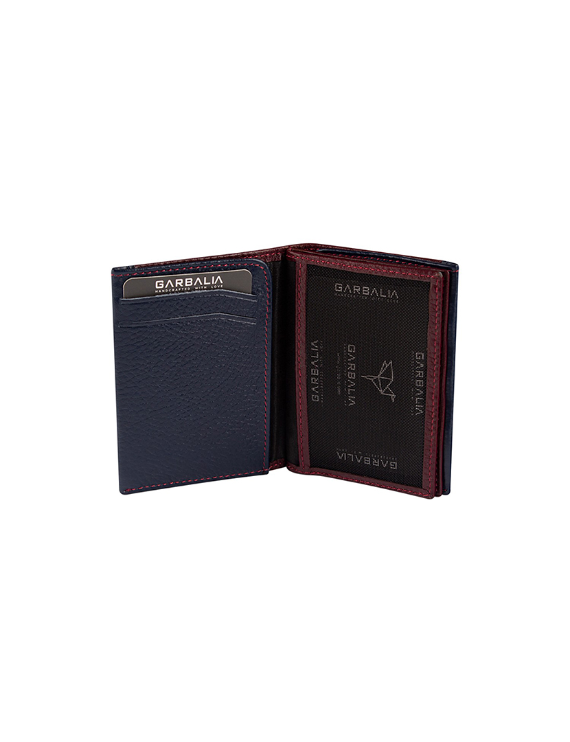 Carteira Homem Paola Castanho e Azul