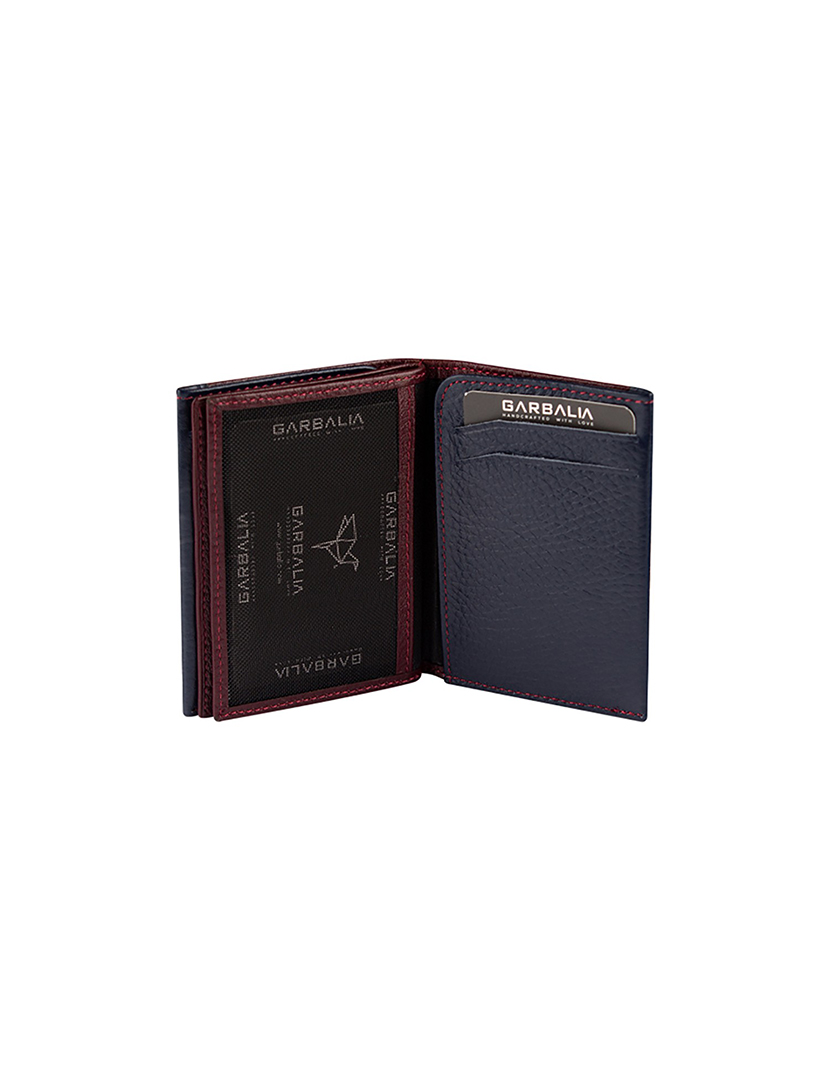 Carteira Homem Paola Castanho e Azul