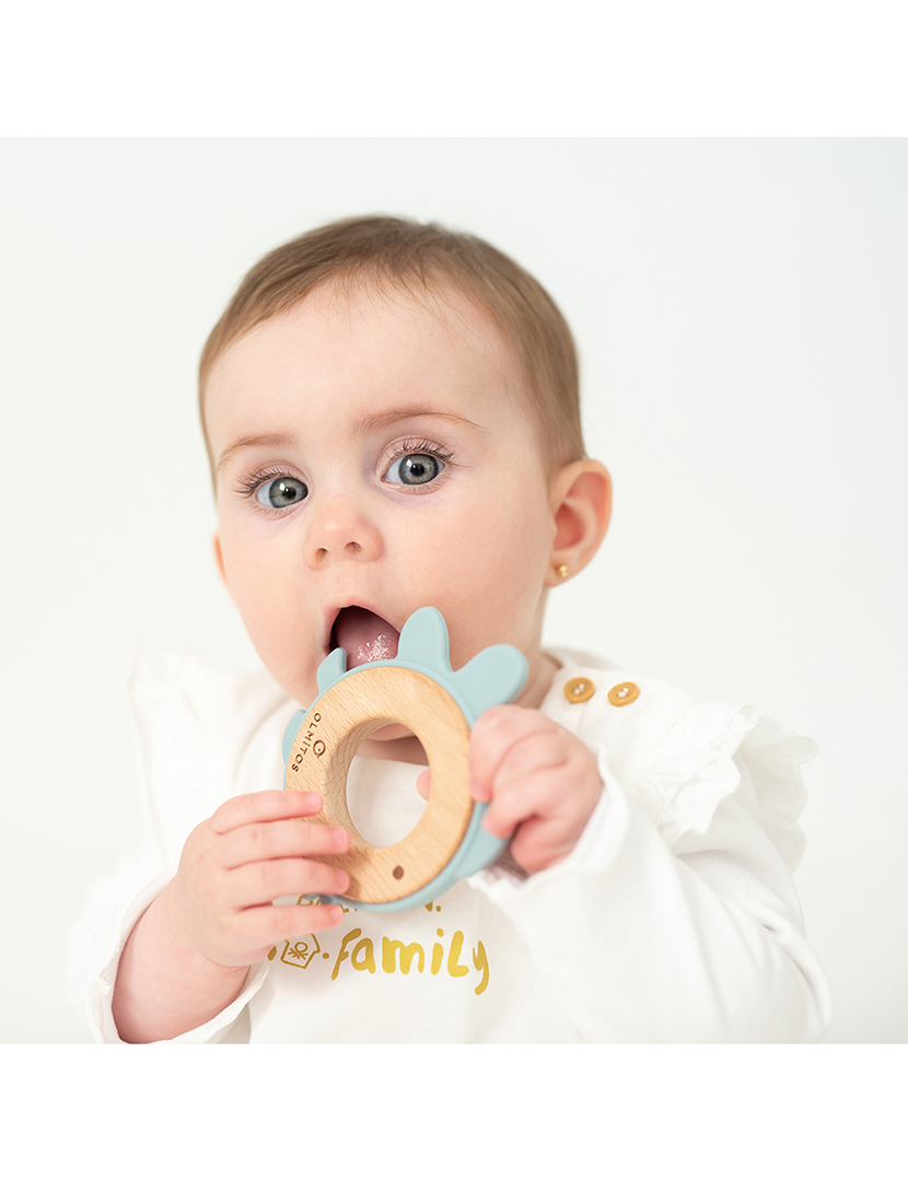 Mordedor Silicone e Madeira de Faia Peixe