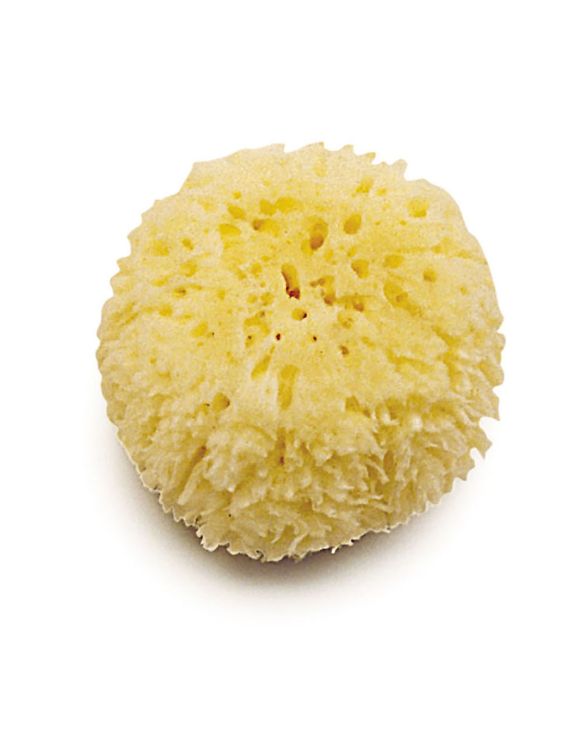 Esponja Marinha Natural Amarelo