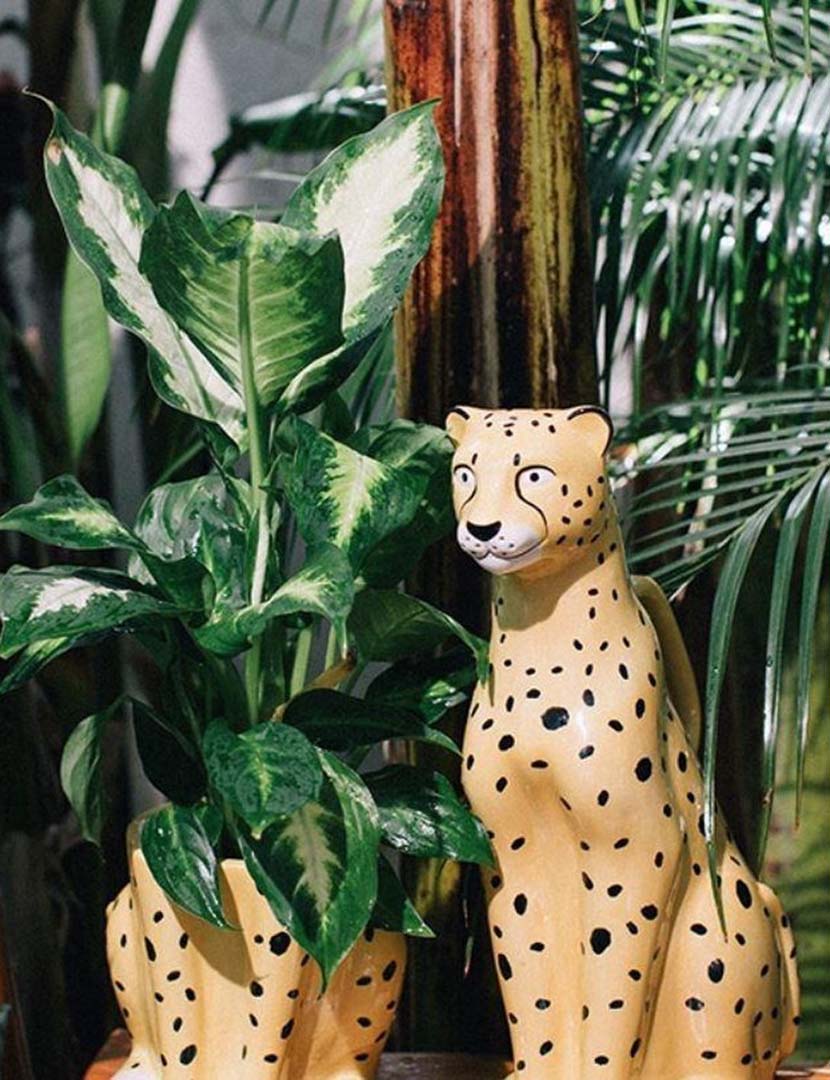 Vaso Urban Jungle Chita