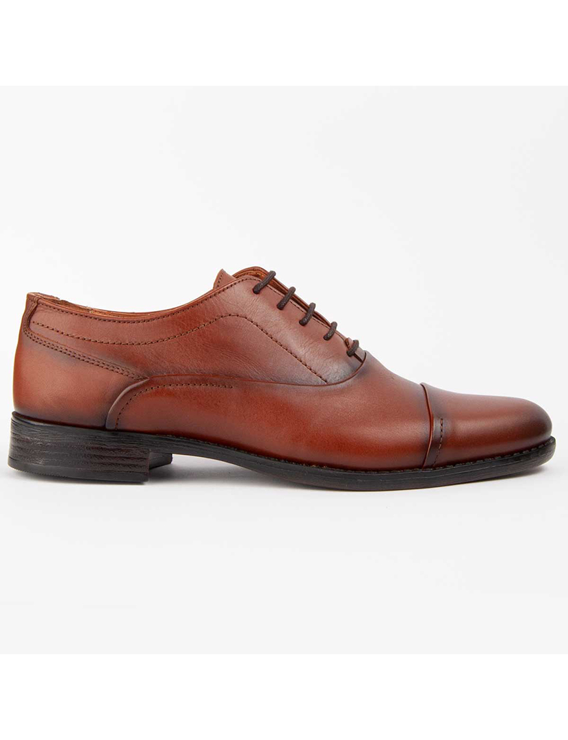 Sapatos Oxford Homem Castanho