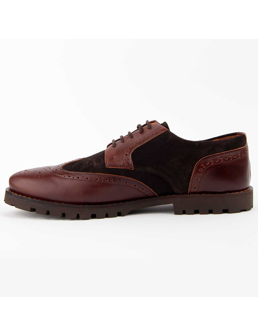 Sapatos Oxford Homem Castanho