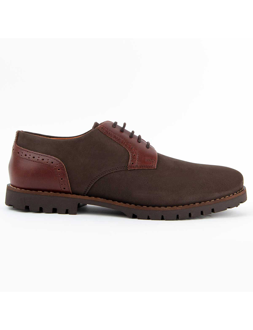 Sapatos Oxford Homem Castanho