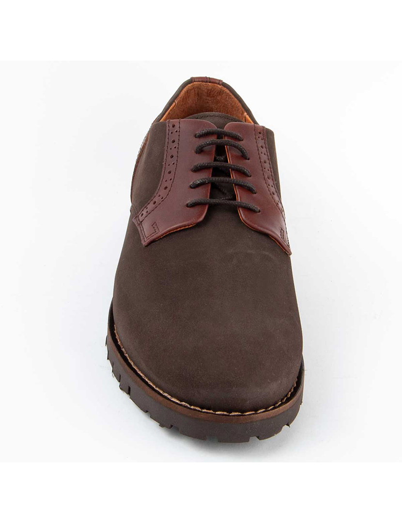 Sapatos Oxford Homem Castanho