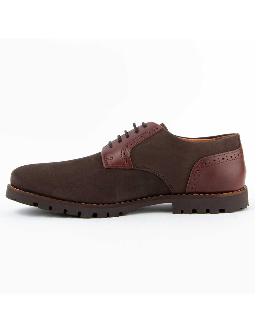 Sapatos Oxford Homem Castanho