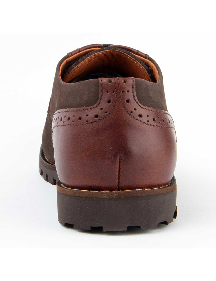 Sapatos Oxford Homem Castanho