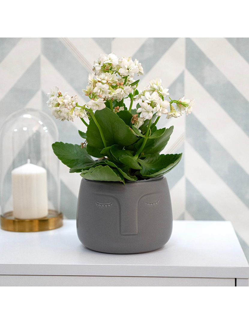 Vaso Rosto Cerâmico 