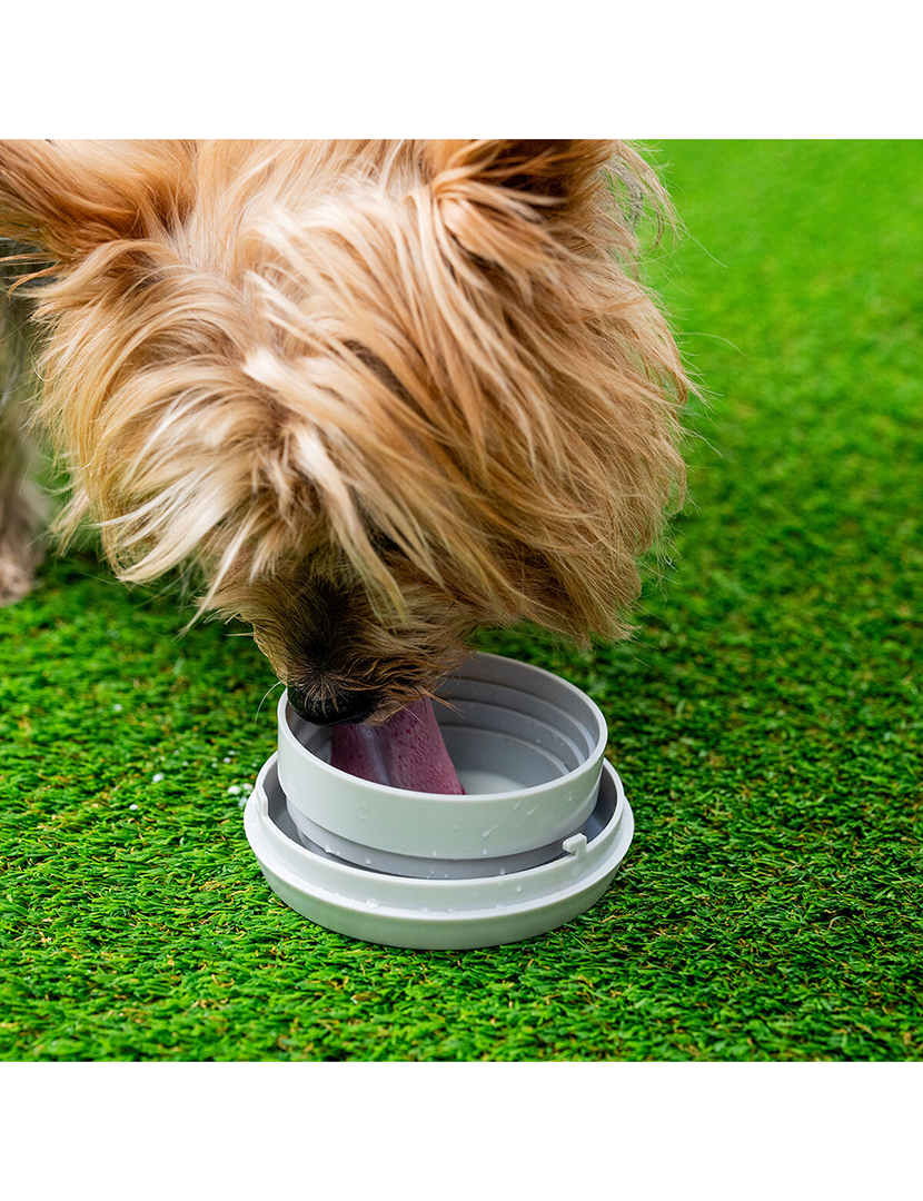 Trela Retráctil Leashic