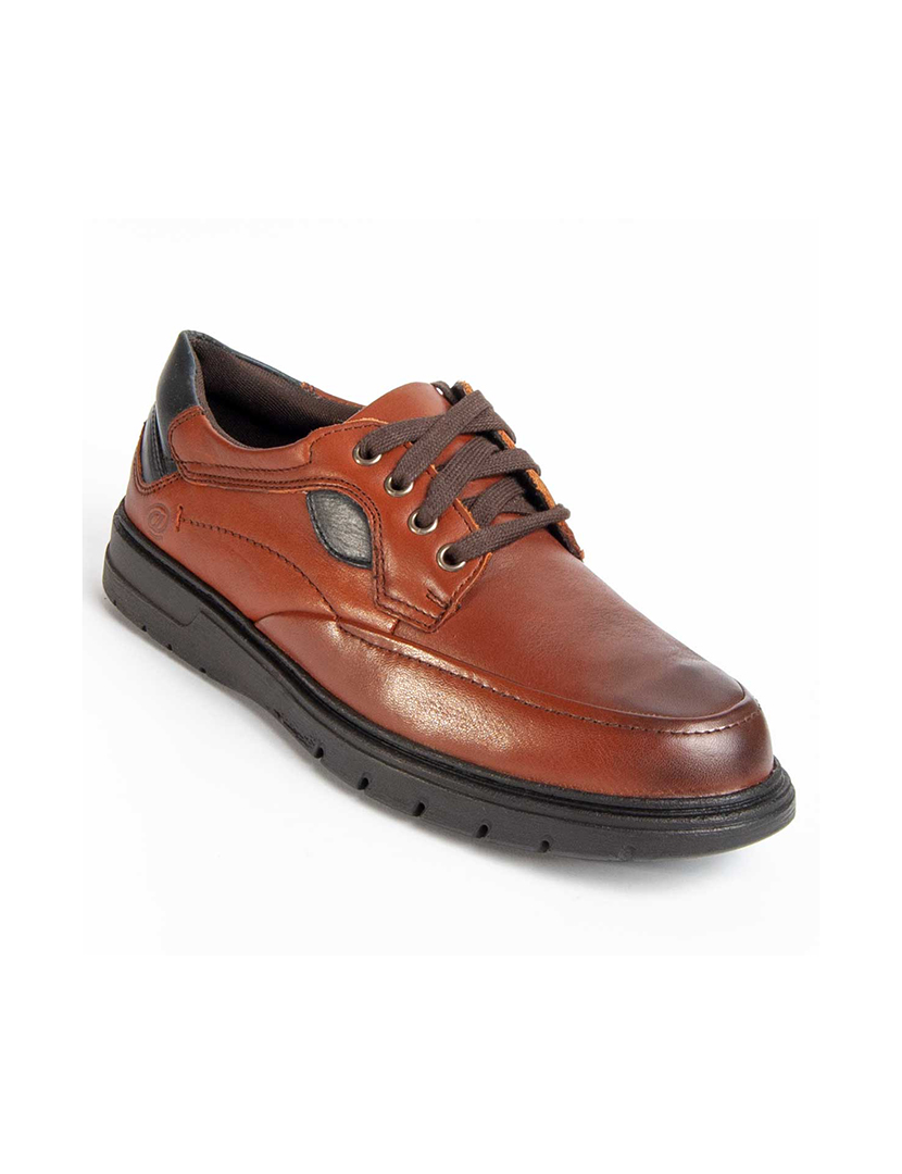Sapatos Oxford Homem Castanho