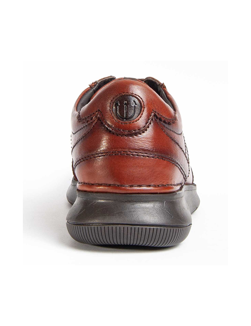 Sapatos Oxford Homem Castanho