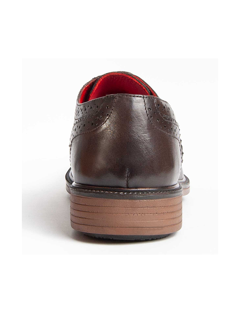 Sapatos Oxford Homem Castanho