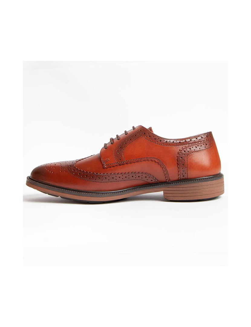 Sapatos Oxford Homem Castanho