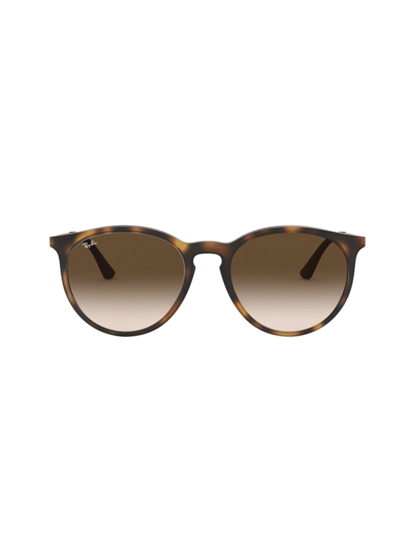 Óculos Sol ERIKA Unisexo MultiCor e Castanho