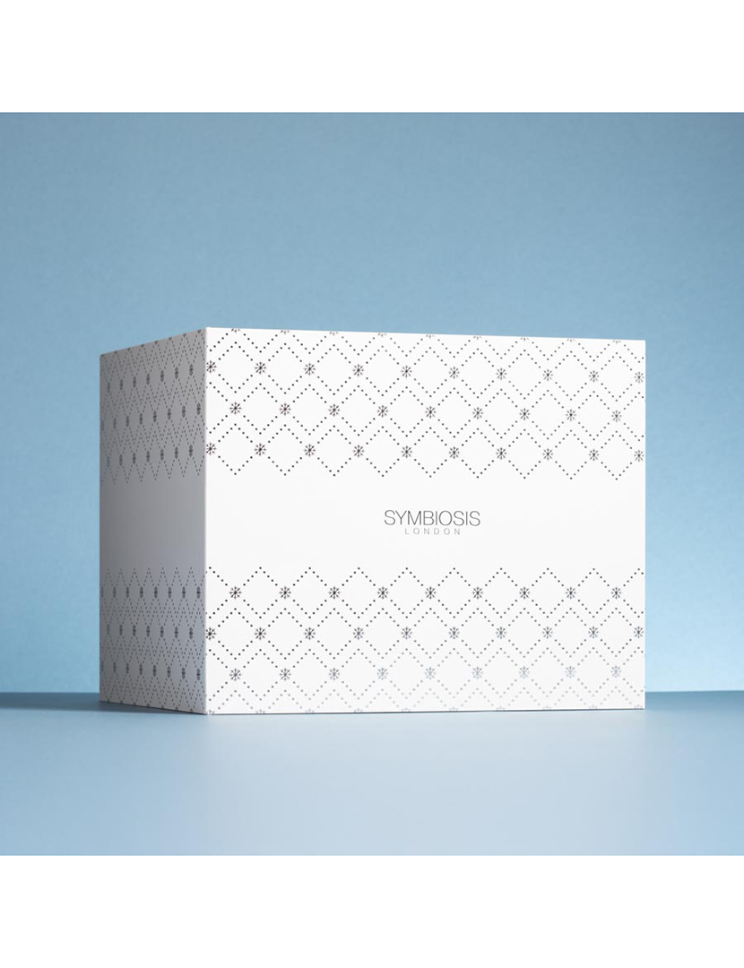 Calendário do Advento 12 Days of Radiance