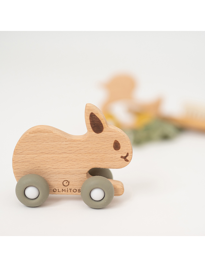 Coelho de Faia Com Rodas