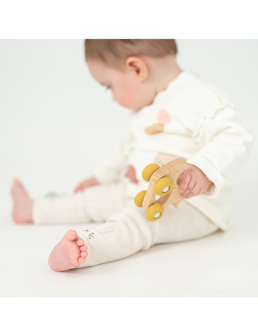 Pato de Faia Com Rodas