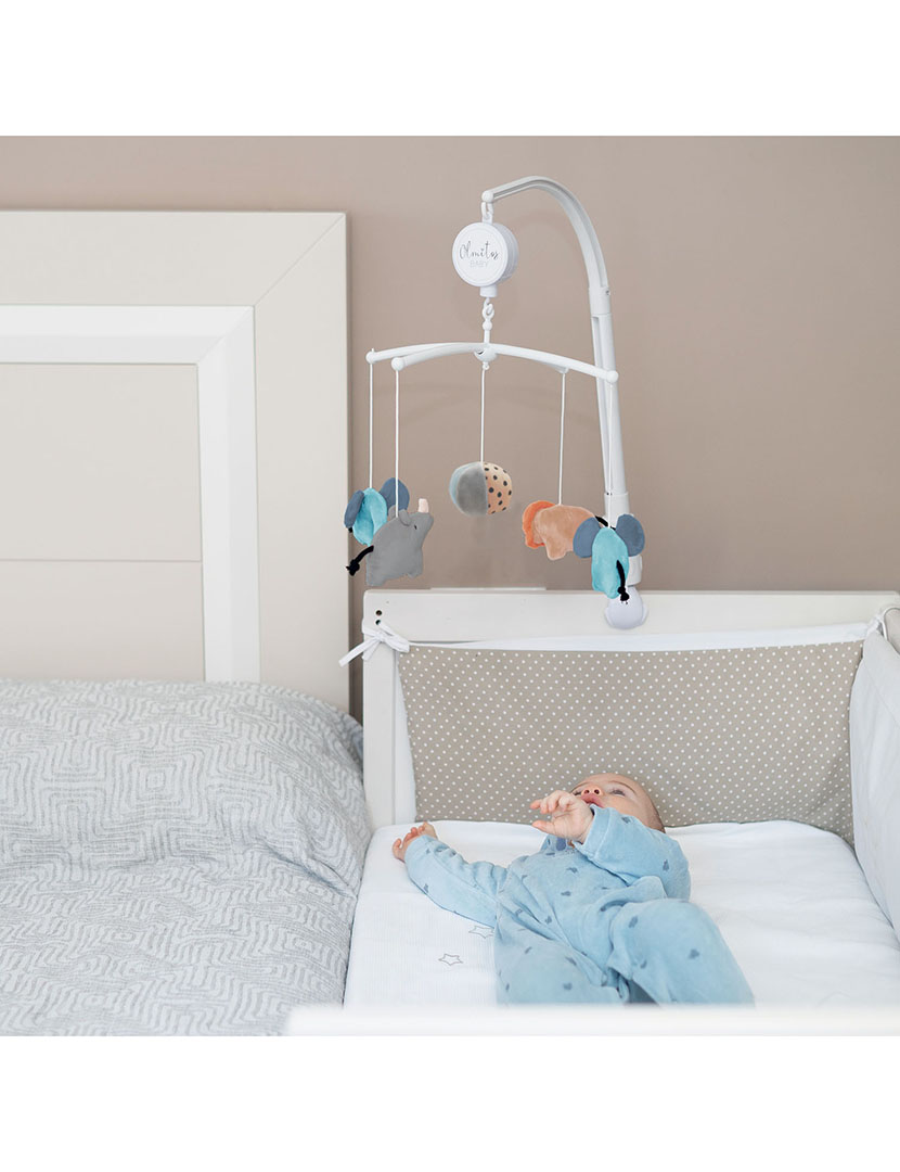 Carrossel Musical Floresta