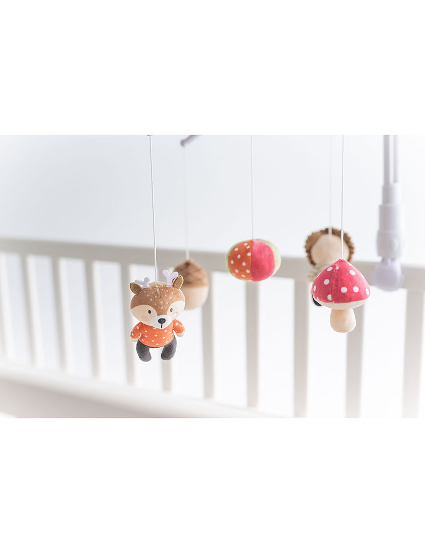 Carrossel Florestal Branco