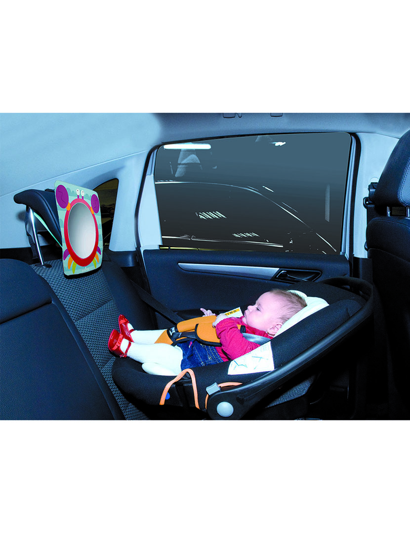 Espelho Retrovisor Caranguejo