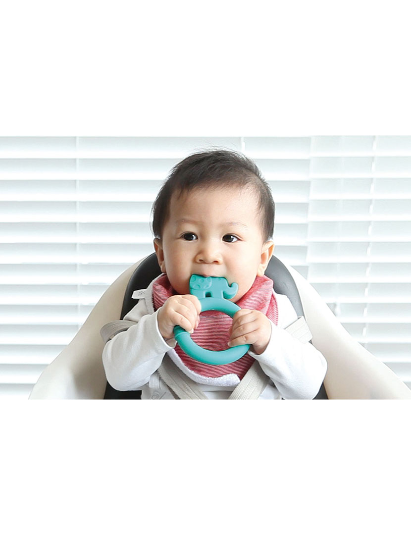 Mordedor Silicone Elefante Verde