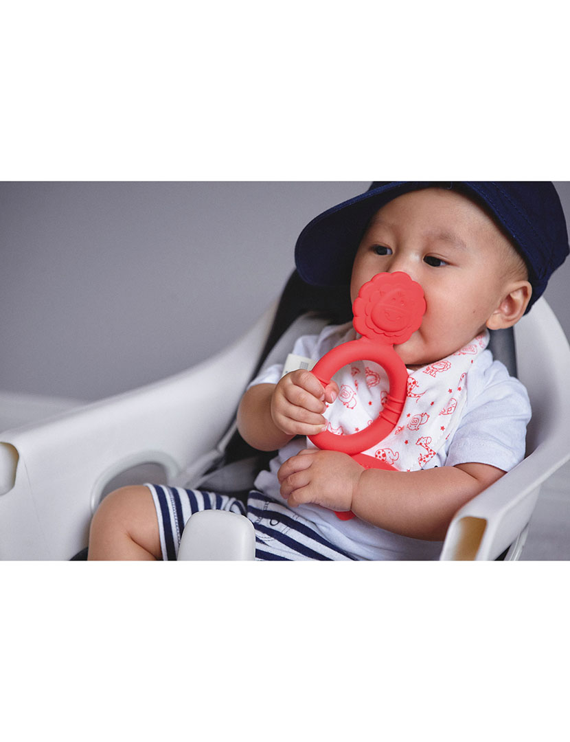 Mordedor Silicone Leão Vermelho